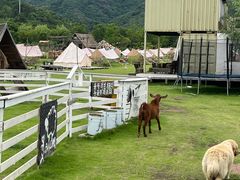 -溪口-滕头旅游景区