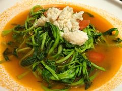 鸡毛菜-德永枣香烤鸭(官舍店)