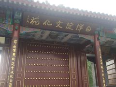 -白洋淀景区