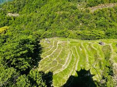 -石台牯牛降景区