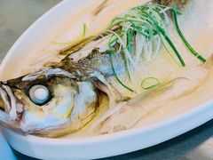 清蒸江白鱼-冶春茶社(官园桥店)