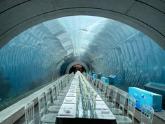 -海棠湾洲际-涛·海底餐厅·美人鱼·自助餐·海底隧道