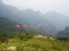 -北京灵山风景区