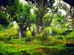 -Chom Cafe and Restaurant