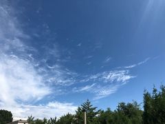 -新净雅烹小鲜(学院路店)