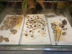-格瑞欧海鲜自助烤肉火锅(光彩店)