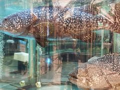-金翠皇宫粤菜·点心·海鲜(科技园店)