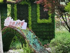 -东平国家森林公园