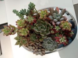 -颜蕾医美·黄金微针·水光·玻尿酸·超声炮·抗衰中心