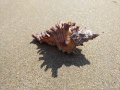 -西涌国际滨海旅游区