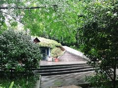 -成都市活水公园
