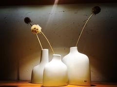 -柴务处·柴犬主题狗咖