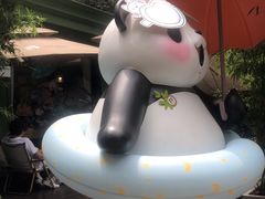 -轩客会(熊猫书店)