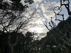 -华东理工大学徐汇校区-图书馆