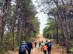 -青龙山国家森林公园