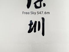 -平安金融中心云际观光层