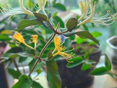 -瑞辰茶空间·商务·掼蛋·活动 (团结湖店)