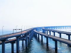 -星海湾跨海大桥
