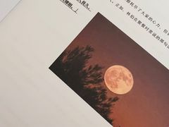 -百川·追风楼沉浸式剧本杀