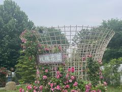 -太阳宫公园