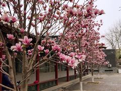 -丰台花园