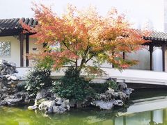 -秋霞圃