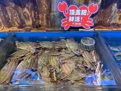-开海·红岛海鲜虾水饺(石老人店)