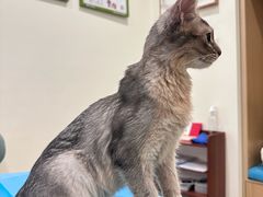 -美迦爱-牙专科·兔科·骨科诊疗中心(北苑店)