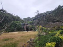 -金鸡山公园