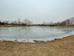 -东郊湿地公园