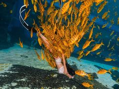 -三亚海昌梦幻海洋不夜城