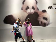 -珠海横琴国家地理探险家中心(创新方)