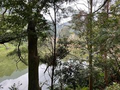 -深圳仙湖植物园