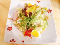 旭有机蔬菜沙拉-割烹旭日本料理(龙湖狮山天街店)