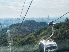 -紫金山山顶公园