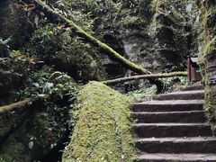 -梭布垭石林景区