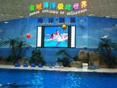 -泉城欧乐堡海洋极地世界