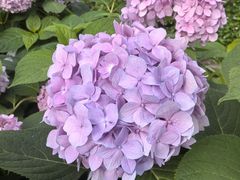 -常州古运河南大街文化旅游区-人民公园