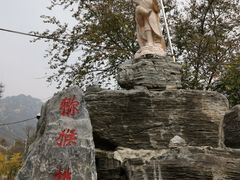 -大岭沟猕猴桃谷风景区