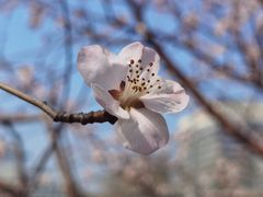 -北京明城墙遗址公园