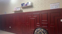 -南京医科大学友谊整形外科医院