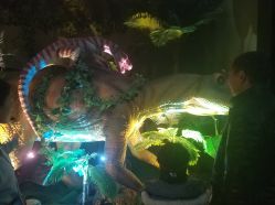 -恐龙探索乐园(磁器口店)