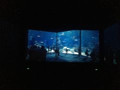 -CGV星星影城(颐堤港ScreenX店)