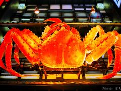 -蟹料理 北海道かに将軍(札幌本店)