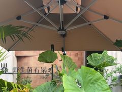 -蘑界·野生菌火锅(深业上城店)