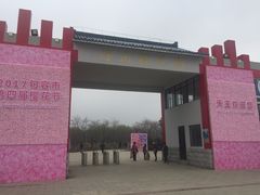 -天王浮山樱花园