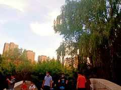 -长白岛森林公园