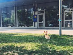 -dotcom coffee古点咖啡(致真大厦店)