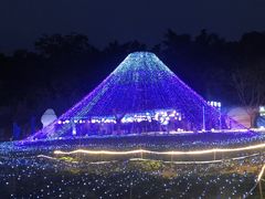 -光明农场大观园
