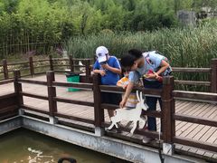 -白鹿原影视城